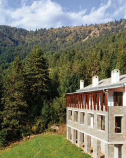 Grand Forest Metsovo 