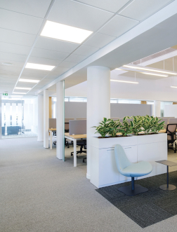 Ανακαίνιση Γραφείων Εταιρείας Real Consulting, AplusM - architecture plus Mechanical engineering