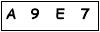 salt-04FC73E4